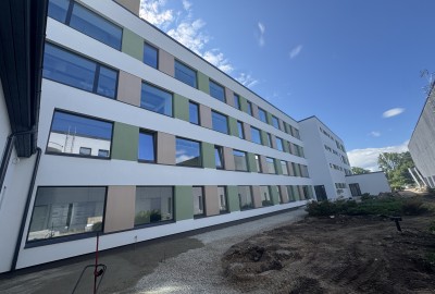 Väike Maarja Gũmnaasium, Pikk 1